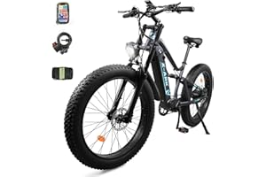 X-ARK 1500W Peak Adult Electric Bicycle, 26" Adult Electric Mountain Bike, 48V 16AH, 7 Speed Fat Tire Fat Tire Mountain Bike, Removable Battery, All Terrain