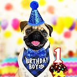 Fantasyon Dog Birthday Hat and Bandana Set Blue Reusable Party Accessory view 6