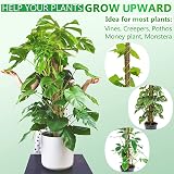 Remiawy Moss Pole 56 Inch 142cm 4 Pcs Coir Totem Pole for Monstera Indoor Plants view 2