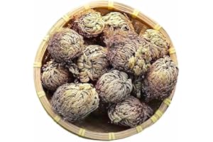 EQUSYM 17 Pack Rose of Jericho Dried Plants - Dried Fern Like Scale Leaf Prayer Plants for Spiritual Purification, Home Decor, Vase Filler, ldeal Present for Plant Lovers