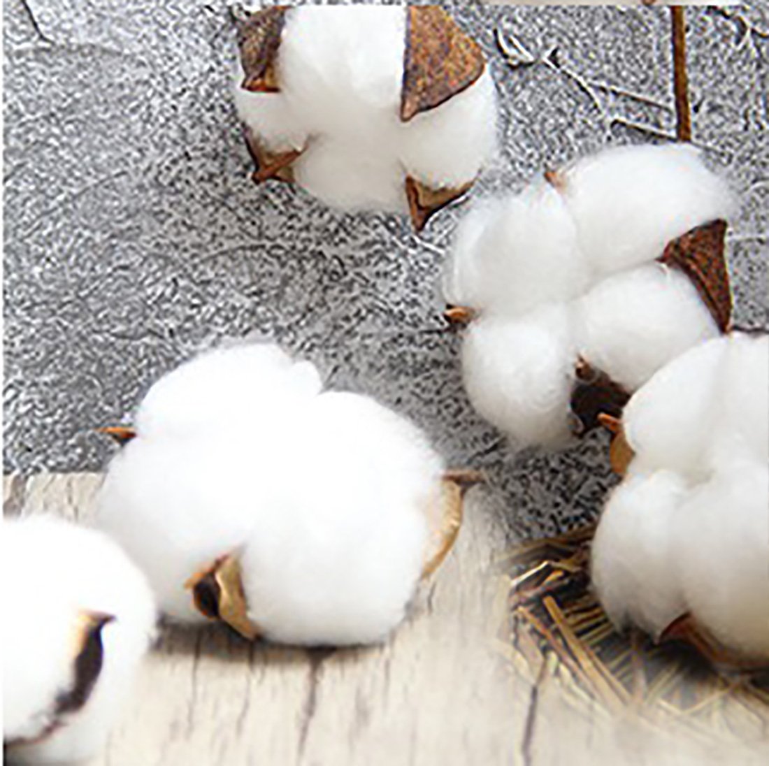 Galleon 11 Pcs Cotton Bolls Natural Pods Decor Farmhouse