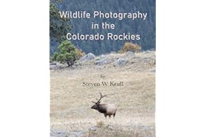 Wildlife Photography in the Colorado Rockies: Where and How to Find and Photograph Wildlife (Photographers Guides)