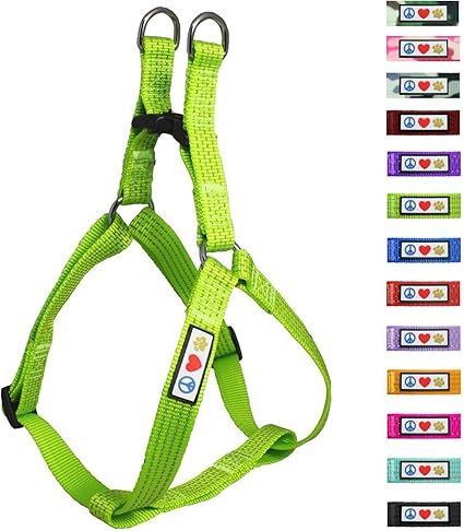 Pawtitas Harnais Pour Chienchiot Facile à Enfiler Ajustable Et Réfléchissant Petit Vert