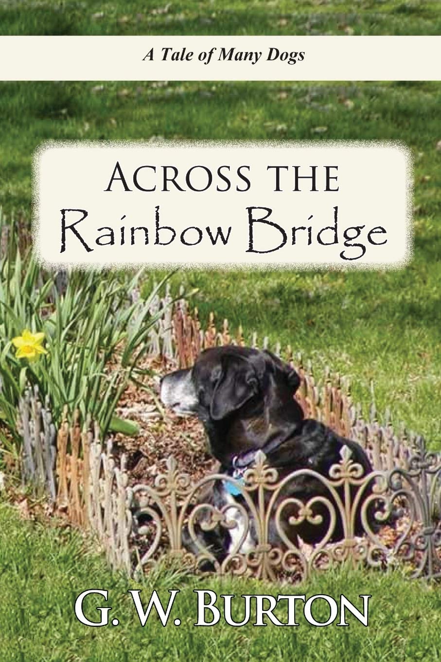 Across The Rainbow Bridge A Tale Of Many Dogs Burton G W Amazon Com Books