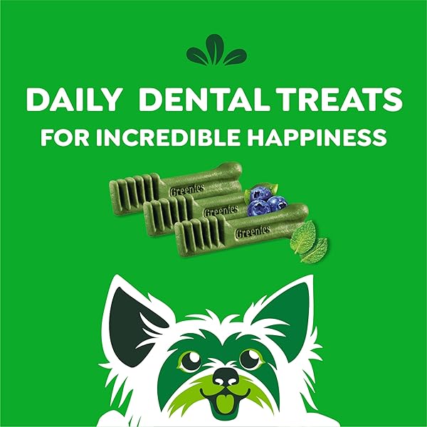 GREENIES DOG TREATS VETERINARIAN-RECOMMENDED NATURAL DENTAL TREATS FOR DOGS, TEENIE SIZE, VARIETY PACK FLAVOR, (3) 12 OZ. PACKS, 130 COUNT