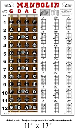 Amazon Com Mandolin Fretboard And Chord Chart Instructional
