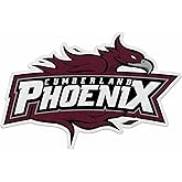 Rico Industries NCAA Cumberland University Phoenix Shape Cut Pennant - Home and Living Room Décor - Soft Felt EZ to Hang