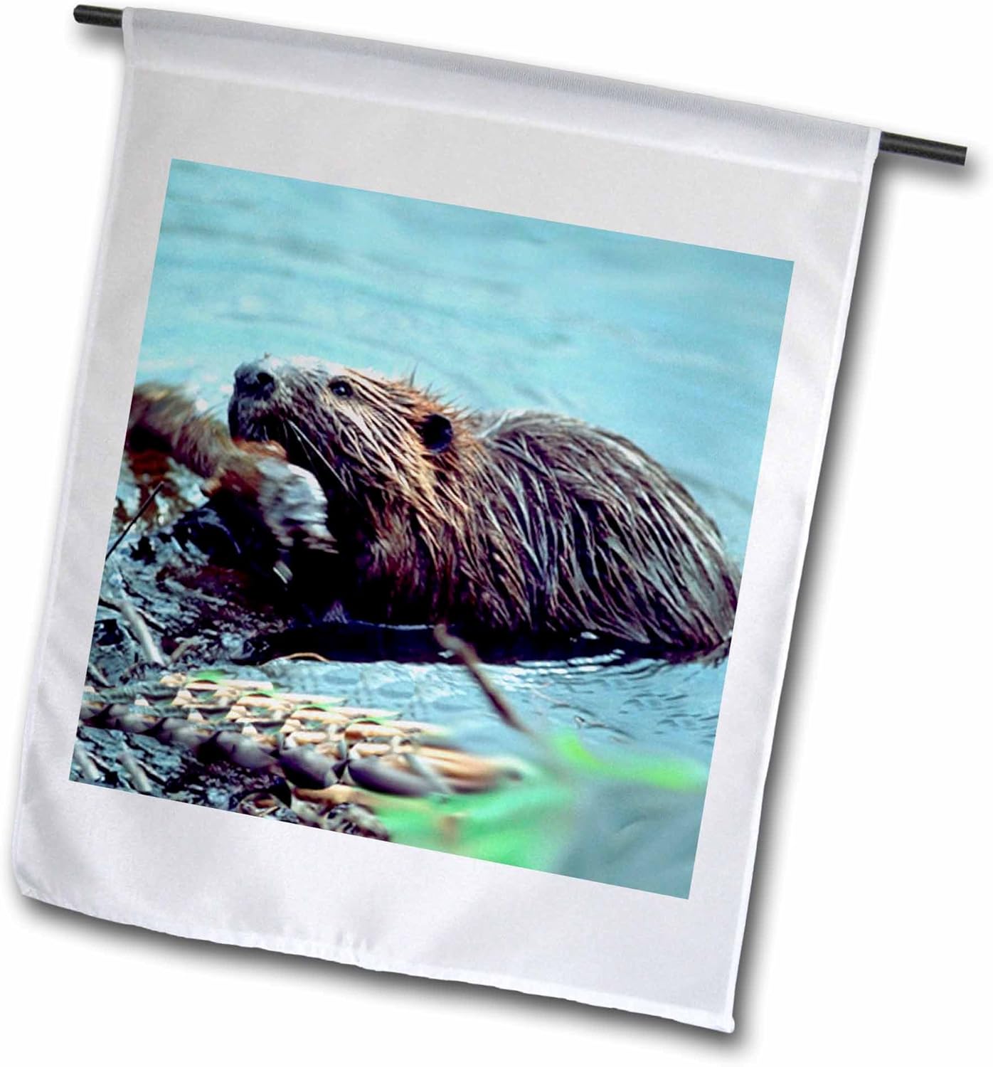3dRose fl_1021_1 Beaver Garden Flag, 12 by 18Inch