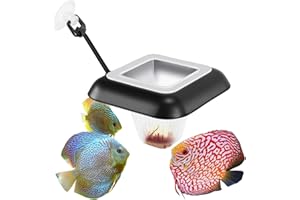 Fischuel Aquarium Feeding Ring Floating Rings Food Feeder Feeding Trough Square with Suction Cup for Fish Feeder