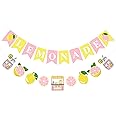 VILIFEVER Pink Yellow Lemonade Banner for Lemonade Stand Decorations, Lemon Sign Garland Summer Party Decor Lemonade Themed Bridal Shower Birthday Party Supplies Favor