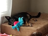 Review Image by Casey