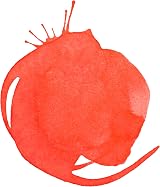 Liquitex 4260620 Liquid Professional Acrylic Paint Ink 30 ml Red-Orange view 2