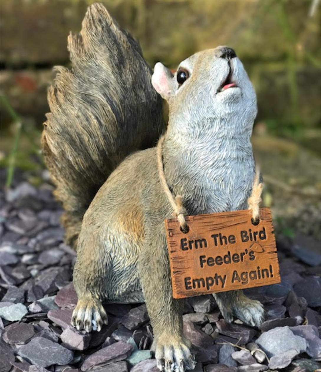 Animal Crackers Cute Squirrel with removable 'Erm Bird feeders empty' sign novelty fun garden ornament decoration