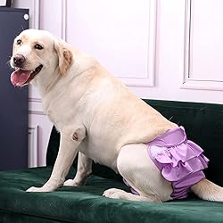 ACDOK Dog Panties for Girl Dogs, Washable Female