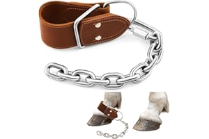 Yeyeplum Horse Hobbles Kicking Chain, Leather Single Leg Hobble Heavy Duty Anti Kick Design, Stainless Steel Chain for Secure Horse Training & Grazing, for Stallions, Geldings, Mares