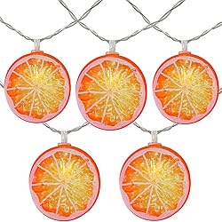 LEKIBOP Fruit String Lights Battery Powered Indoor