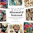 Collage Soup - Bloomed & Bemused: A book of fancy collage papers to cut up, tear up and stick on.