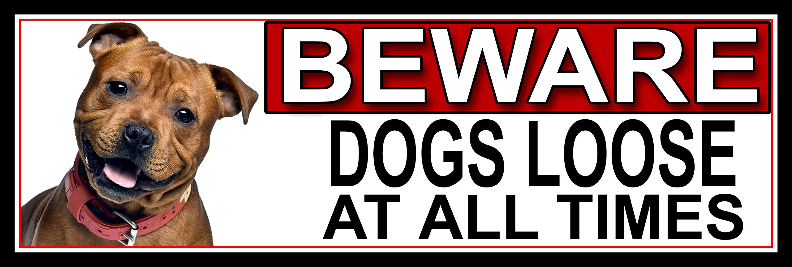 SHAWPRINT Staffordshire Bull Terrier BEWARE DOGS LOOSE AT ALL TIMES METAL GATE SIGN 266mm x 87m. (413H2)