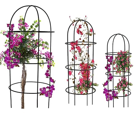 Truphe Obelisk Trellis for Plant Support and Plant Stand - Set of 3 Plant Stand Stem Suppport