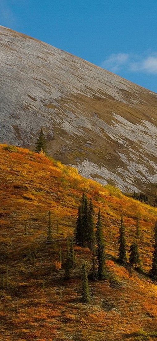 PeelitStickit, Beautiful Nature Wall Murals, ID-1330, vinyl