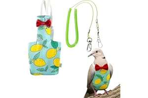 HOMEDY CRAFTS Pigeon Diaper Harness and Bird Leash, Diapers for Birds with Leash, Bird Diapers for Pigeons, Diaper Pants for Cockatiel African Grey Parrot Budgie, Cage Accessories (M-Green)