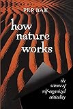 How Nature Works: the science of self-organized criticality