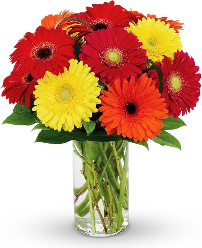 Gerber Daisy Bouquet Everything Else