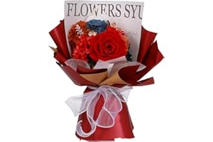 ANLUNOB Valentines Day Gifts for Her,Valentines Rose Flowers Birthday Gifts for Women,Valentines Day Gifts for Wife Mom Girlfriend,Preserved Flowers Bouquet Natural Real Long Lasting Roses (Red)