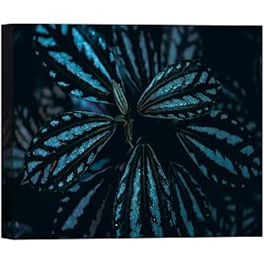SIGNWIN Canvas Wall Art Tropical Rainforest Green Leaves...