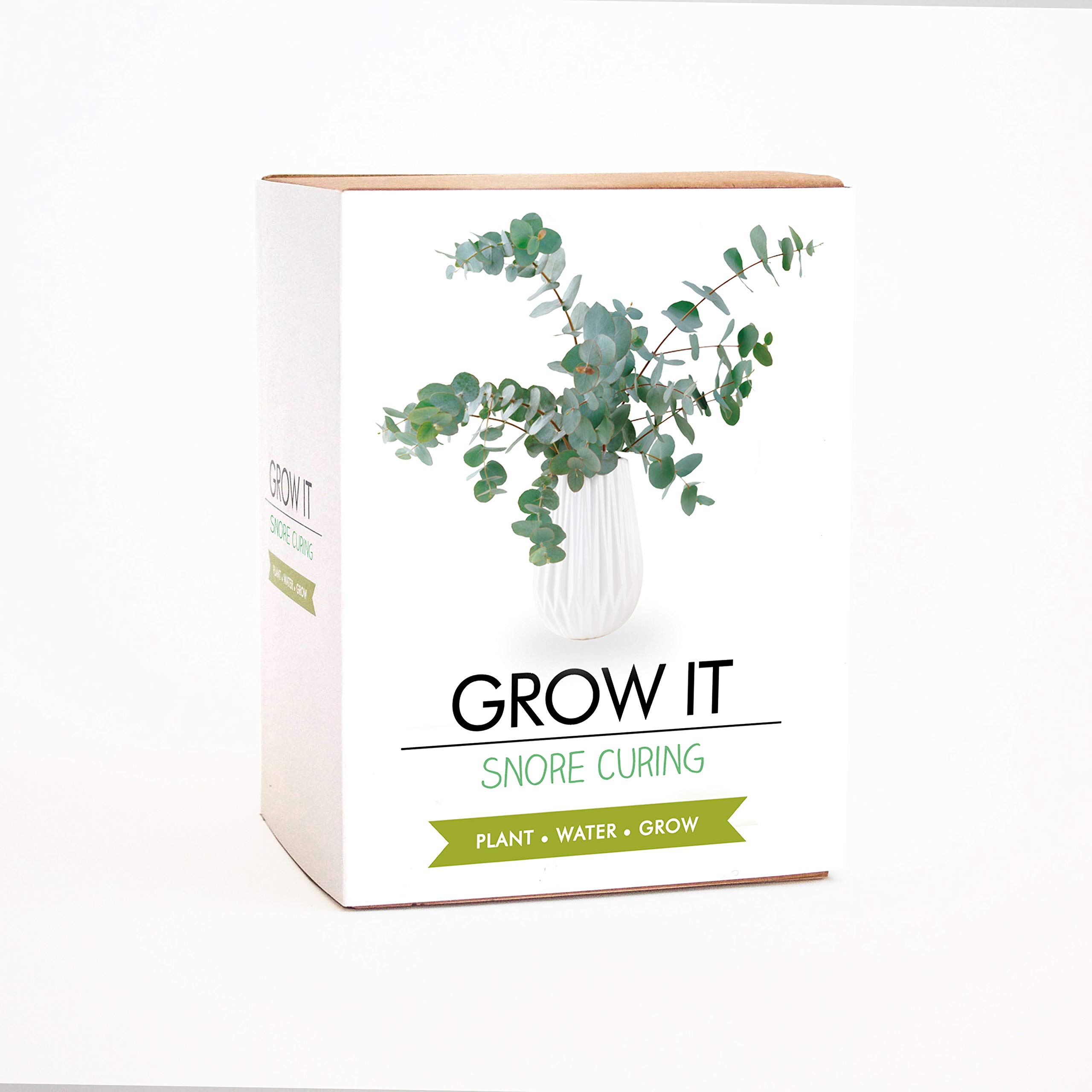 Gift Republic Grow It Kit Snore Curing Plant, Multi