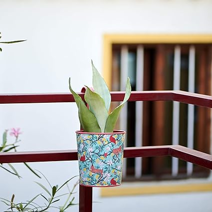 Bucket List Hanging Pot Holder- Medium