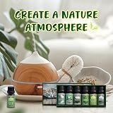 Salubrito Nature Essential Oils Set Forest Pine Ocean Breeze Rain 6x Oils view 6
