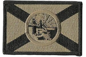 GADSDEN AND CULPEPER Florida Tactical Flag Patch (Coyote)