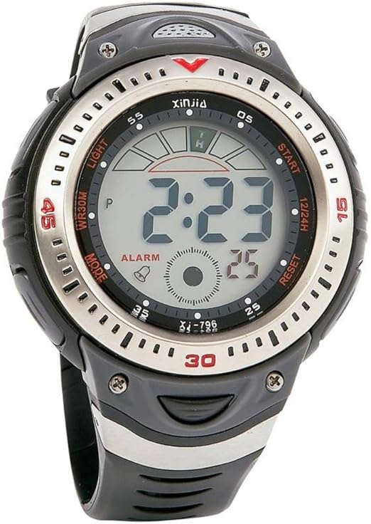 garmin forerunner 310