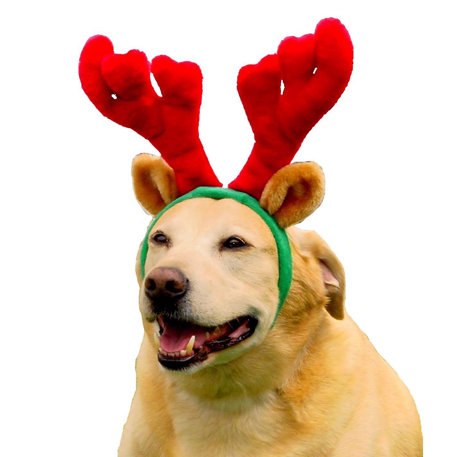Outward Hound Kyjen 30027 Antlers Pet Headband, Small