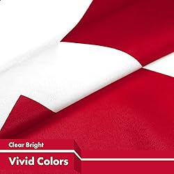 20 Pack Denmark Flags, Small Handheld Danmark Flags