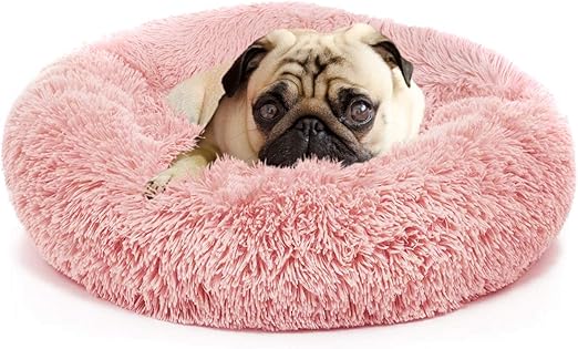 dog pillow with blanket attached