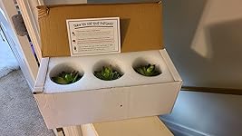 Review Image by Jay Nic