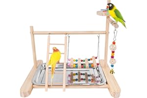 Chuiendi Bird Playground Play Stand Parrot Perch Stand, Natural Wood Play Gym for Parakeet Conure Cockatiel Lovebird Budgie with Feeder Cups, Swings, Ladder and Detachable Tray