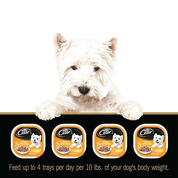 CESAR FILETS IN GRAVY POULTRY LOVERS VARIETY PACK WET DOG FOOD, 3.5 OZ., COUNT OF 12