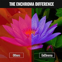 Enchroma Color Blind Glasses - Ellis - Color