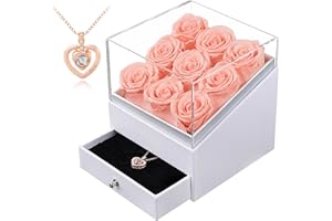 Eterfield Preserved Roses with I Love You Heart Necklace 9-Piece Forever Flowers Delivery Prime Real Rose That Last More Than a Year Gift for Mom Wife Girlfriend Valentines Day Mother Day (Champagne)