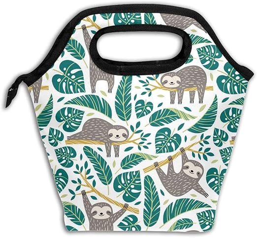 sloth lunch box