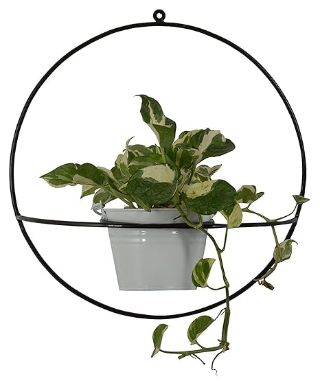 Green Gardenia Iron White Round Shape Wall Bracket with Bucket (GGWIRDWBPW-8, 40 cm x 40 cm x 17 cm, White)