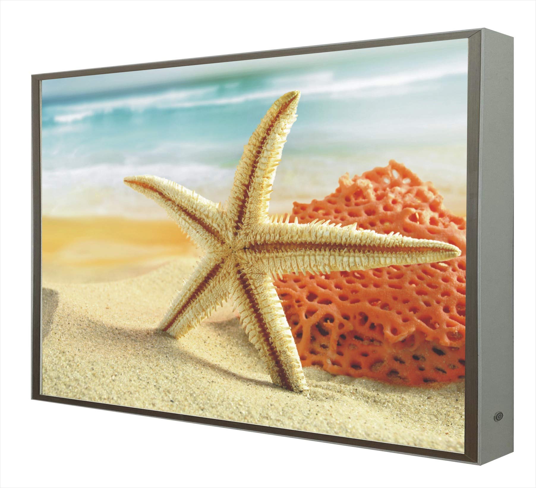Picture with LED Light and Lacquered Wood Frame in White Sea Star