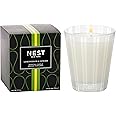 NEST New York Scented Classic Candle, Lemongrass & Ginger - 8.1 oz - Up to 60-Hour Burn Time - Reusable Glass Vessel