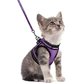 rabbitgoo Cat Harness and Leash Set, Step-in Soft Vest, Purple | Escape Proof, Lightweight, Easy-on &amp; Adjustable, Reflective, Secure Hook &amp; Loop with Buckle for Kittens &amp; Small Cats Walks, S