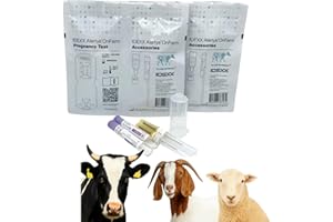 LBH Market Livestock Pregnancy Test Kit – for Cattle, Goats & Sheep – Early Detection in 28 Days – Complete 2-Animal Kit – Ruminant PAG Blood Test – Fast 5–20 Minute Results