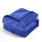Wemore Minky Dot Weighted Blanket for Adults Queen
