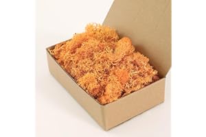 Dallisten Moss Preserved, Craft Reindeer Green Decorative Moss for Enchanted Forest Decorations, Fairy Garden, Party, Art Wall, Indoor Potted Plants,Table, Terrariums, Bonsai Decor (Orange,3.6OZ)